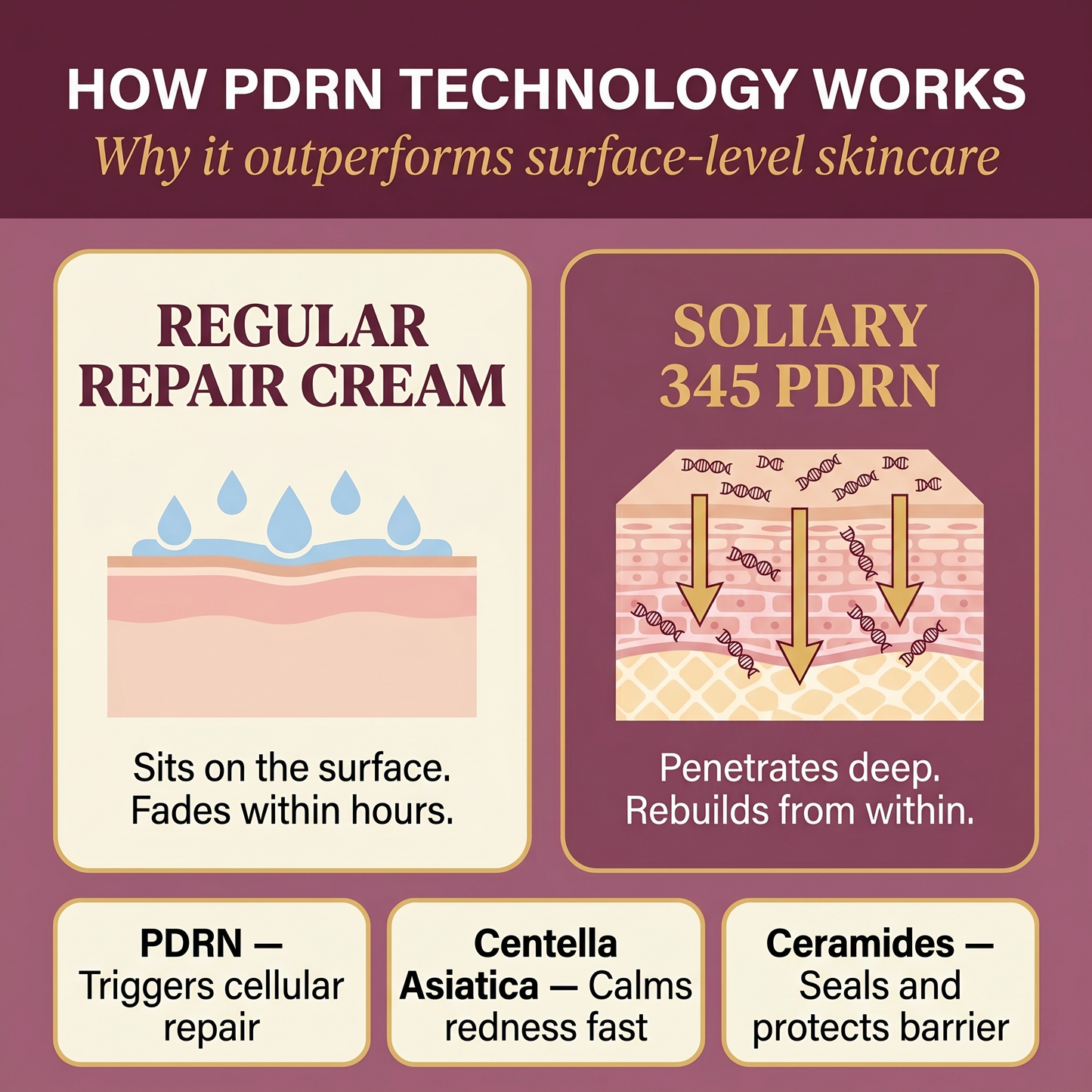 Soliary 345 Repair Cream